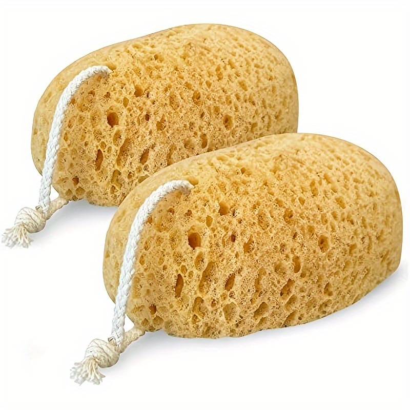 Seaweed Snack - Unisex Seaweed Sponge Bath Bubble, Scrub