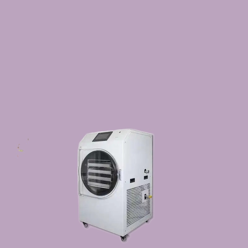Dried Fruit - Sale Home 6kg Fruit Freeze Drying