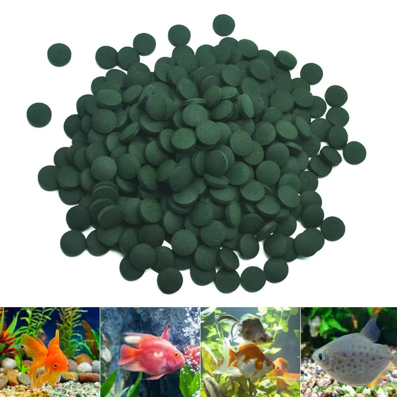 50-300Pcs High Purity Spirulin - Seaweed Snack 评论和价格