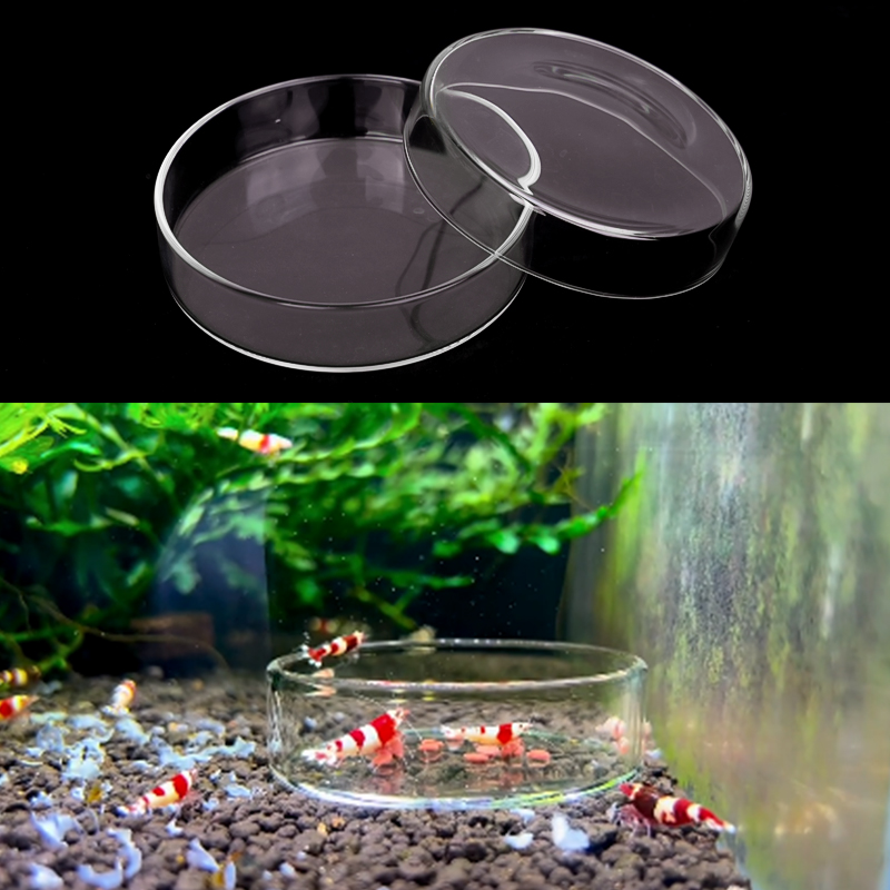 Shrimp Feeding Dish High Trans - Seaweed Snack 评论和价格