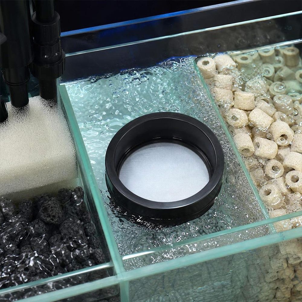 PVC Aquarium Filter Screen Nyl - Seaweed Snack 评论和价格